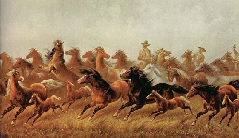 James Walker Roping wild horses Sweden oil painting art